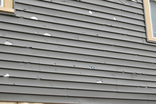 Best Insulated Siding Installation  in Ruch, OR